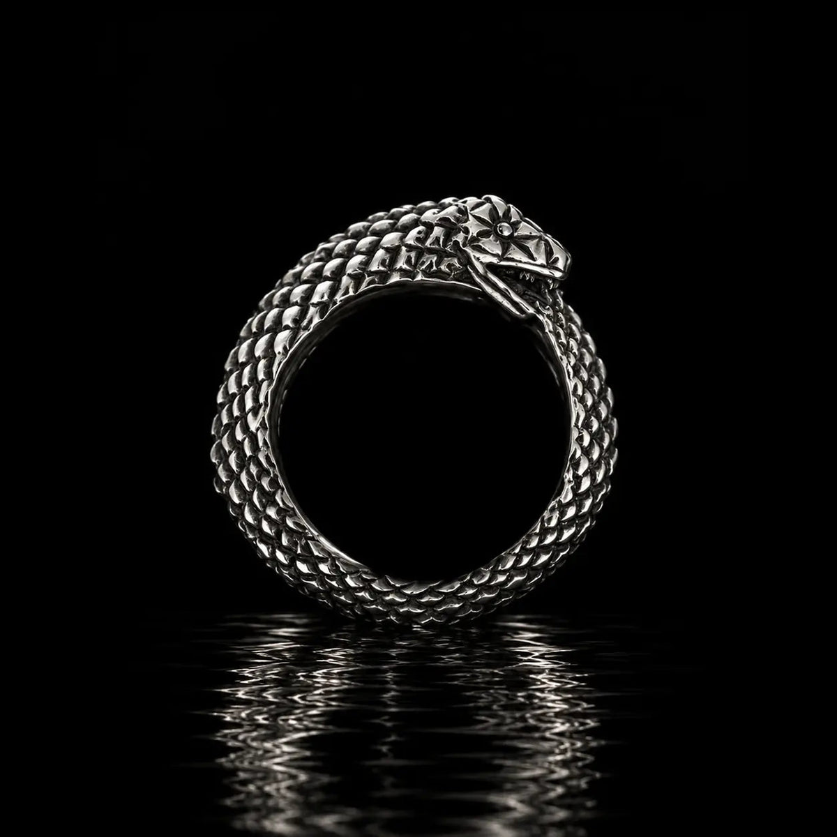 Snake Bite - Curiouser Collective