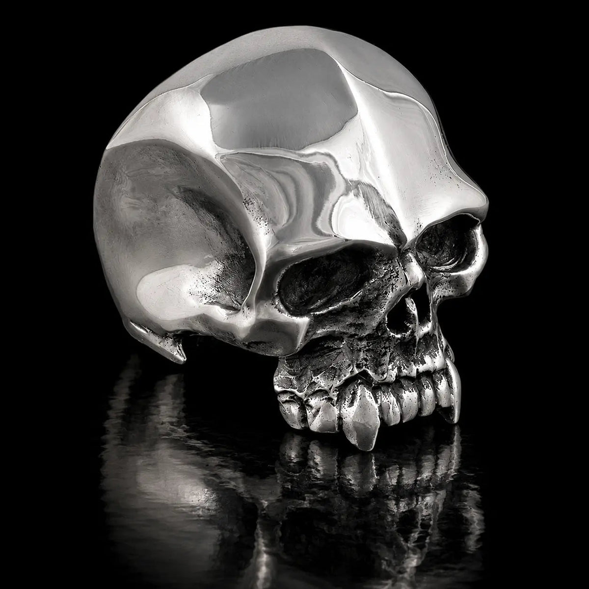 Large Skull: Cain & Abel - Curiouser Collective